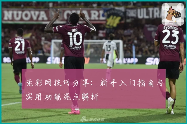 竞彩网技巧分享：新手入门指南与实用功能亮点解析