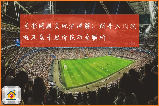 竞彩网胜负玩法详解：新手入门攻略及高手进阶技巧全解析